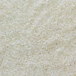 Everyday Rice